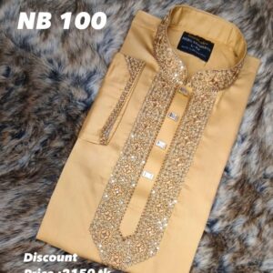 Panjabi Code:NB-100